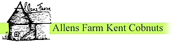 Allens Farm Kent Cobnuts